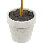 Декоративный искусственное растение Boxwood One варинант исполнения - 3 | Loft Concept в Тюмени