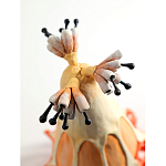 Статуэтка тропический фрукт Pandora Tropical Fruit Orange варинант исполнения - 3 | Loft Concept в Тюмени