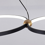 Люстра подвесная светодиодная черный металл Ring Horizontal варинант исполнения - 11 | Loft Concept в Тюмени