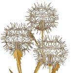 Торшер в виде цветка одуванчика Hanging Dandelion варинант исполнения - 1 | Loft Concept в Тюмени