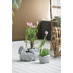 Кашпо A collection of baby rabbits варинант исполнения - 4 | Loft Concept в Тюмени