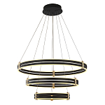 Люстра светодиодная с 3-мя плафонами в форме колец из акрила и алюминия с пультом для регулировки света Ring Horizontal Anthracite варинант исполнения - 1 | Loft Concept в Тюмени