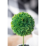 Декоративный искусственное растение Boxwood One варинант исполнения - 8 | Loft Concept в Тюмени