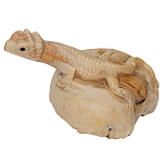 Статуэтка из дерева ящерица Animals of the World варинант исполнения - 2 | Loft Concept в Тюмени