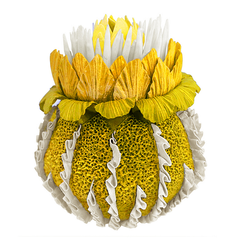 Желтый Экзотический фрукт Yellow Pandora Exotic Fruit  44 Желтый в Тюмени | Loft Concept 
