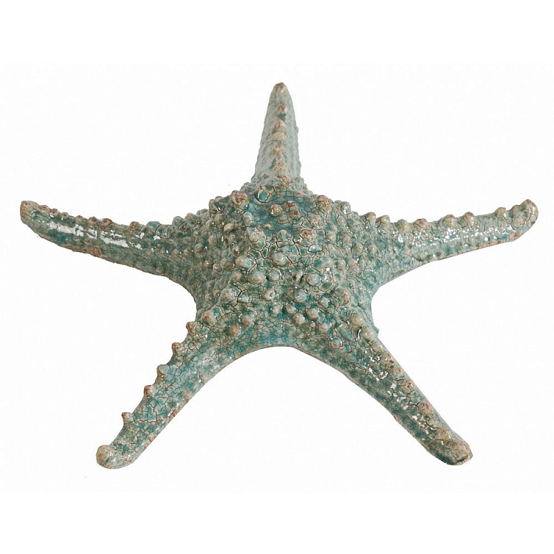 Аксессуар Starfish Бирюзовый Серый Аксессуар Starfish Бирюзовый Серый в Тюмени | Loft Concept