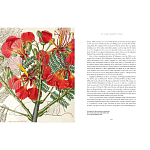 Прекрасно иллюстрированная книга более 100 ботанических произведений Plant Hunters Atlas варинант исполнения - 5 | Loft Concept в Тюмени