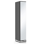 Шкаф-пенал с зеркальной дверцей и фасадом цвета графит Strict Lines варинант исполнения - 2 | Loft Concept в Тюмени