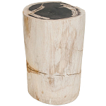 Стул из окаменелого дерева Petrified Wood варинант исполнения - 1 | Loft Concept в Тюмени