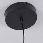 Люстра подвесная светодиодная черный металл Ring Horizontal варинант исполнения - 6 | Loft Concept в Тюмени