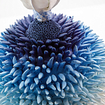 Статуэтка Синий тропический фрукт Tropical Fruit Pandora 4 варинант исполнения - 1 | Loft Concept в Тюмени