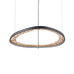 Люстра светодиодная  Iris варинант исполнения - 1 | Loft Concept в Тюмени