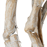 Люстра круглая в виде веток деревьев Natural Driftwood варинант исполнения - 3 | Loft Concept в Тюмени