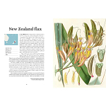 Прекрасно иллюстрированная книга более 100 ботанических произведений Plant Hunters Atlas варинант исполнения - 3 | Loft Concept в Тюмени