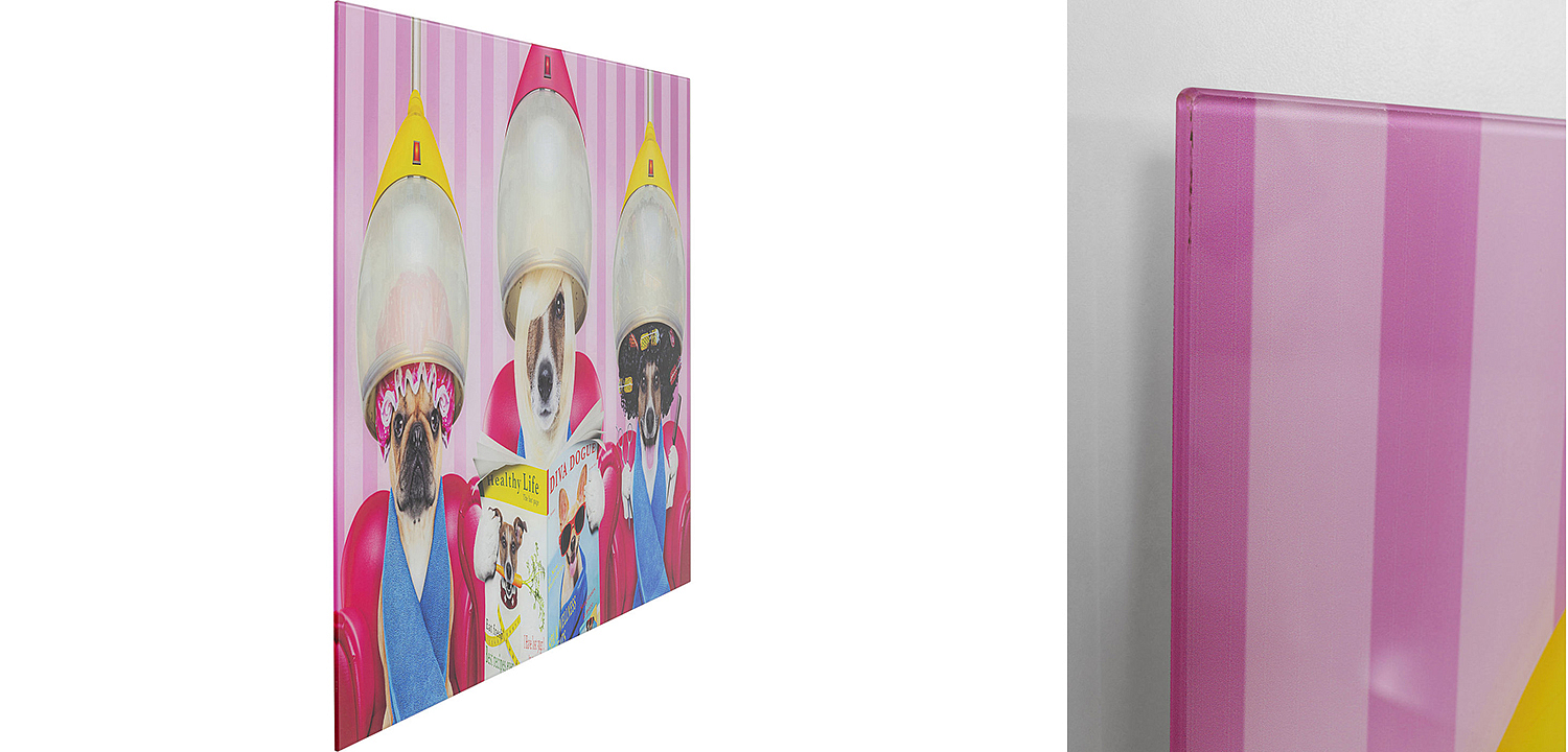 Картина Dogs in a beauty salon  - Loft-Concept в Тюмени