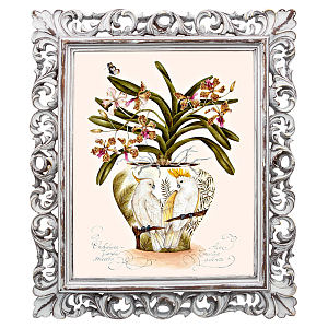 Постер White Parrots and Orchid Poster