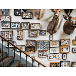 Книга Extraordinary Collections: French Interiors варинант исполнения - 11 | Loft Concept в Тюмени