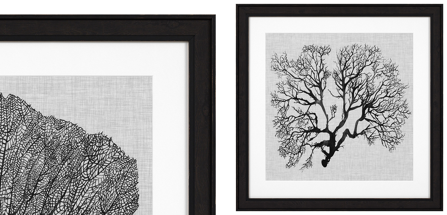 Комплект постеров Eichholtz Prints Shadow Sea Fans set of 4 Комплект постеров Eichholtz Prints Shadow Sea Fans set of 4 - Loft-Concept в Тюмени