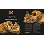 Книга Treasures of India From Antiquity to Modernity варинант исполнения - 3 | Loft Concept в Тюмени