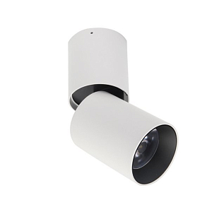 Спот Conecticus 1