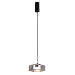 Подвесной светильник Blanton smoky 23 варинант исполнения - 2 | Loft Concept в Тюмени