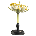 Статуэтка Tilia варинант исполнения - 2 | Loft Concept в Тюмени