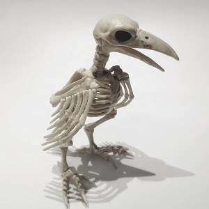 Статуэтка Crow Skeleton