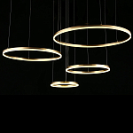 Люстра подвесная светодиодная Jewelry Ring варинант исполнения - 4 | Loft Concept в Тюмени