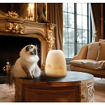 Настольная лампа в форме трапеции из натурального камня Soft Glow of Stone варинант исполнения - 5 | Loft Concept в Тюмени