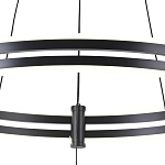 Люстра светодиодная с 2-мя плафонами в форме колец из акрила и алюминия с пультом для регулировки света Ring Horizontal Black варинант исполнения - 3 | Loft Concept в Тюмени