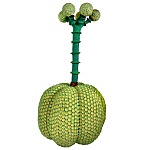 Статуэтка Зеленый тропический фрукт Pandora Tropical Light Green 69 варинант исполнения - 3 | Loft Concept в Тюмени