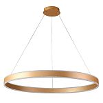 Люстра подвесная светодионая кольцевая золотого цвета Ring Horizontal варинант исполнения - 1 | Loft Concept в Тюмени