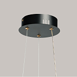 Люстра с прозрачным волнистым плафоном в форме цветка Ethereal Bloom варинант исполнения - 11 | Loft Concept в Тюмени