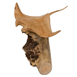 Статуэтка из дерева скат Animals of the World варинант исполнения - 2 | Loft Concept в Тюмени