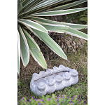 Кашпо Canaries варинант исполнения - 3 | Loft Concept в Тюмени