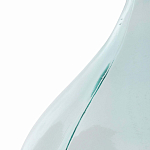 Ваза-бутыль из стекла TRANSPARENT FORMS 56 варинант исполнения - 4 | Loft Concept в Тюмени