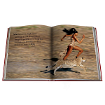 Лимитированная подарочная большая книга CARTIER Panthère варинант исполнения - 12 | Loft Concept в Тюмени