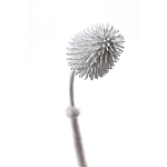 Статуэтка тропический фрукт Pandora Tropical Fruit Tall White варинант исполнения - 1 | Loft Concept в Тюмени