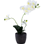 Декоративный искусственное растение Angel Orchid варинант исполнения - 1 | Loft Concept в Тюмени