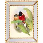 Постер с изображением птиц и цветов в зеркальной раме Blooming Birds Poster варинант исполнения - 6 | Loft Concept в Тюмени