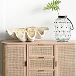 Блюдо декоративное в виде ракушки Seashell варинант исполнения - 1 | Loft Concept в Тюмени