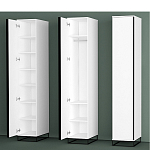 Шкаф-пенал белый с зеркальной дверцей Strict Lines варинант исполнения - 5 | Loft Concept в Тюмени