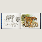 Лимитированная подарочная книга HERMES Fierce and Fragile book, English version варинант исполнения - 2 | Loft Concept в Тюмени