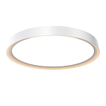 Потолочный светильник Incognito 2700-4000К 46Вт варинант исполнения - 1 | Loft Concept в Тюмени