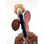 Статуэтка тропический фрукт Pandora Tropical Fruit Orange Brown Pink Flower варинант исполнения - 1 | Loft Concept в Тюмени