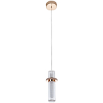 Подвесной светильник золото Odile Acrylic Tube Hanging Lamp Gold варинант исполнения - 2 | Loft Concept в Тюмени