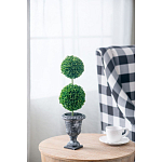 Декоративный искусственное растение Double boxwood варинант исполнения - 5 | Loft Concept в Тюмени