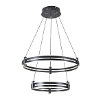 Люстра светодиодная с 2-мя плафонами в форме колец из акрила и алюминия с пультом для регулировки света Ring Horizontal Black варинант исполнения - 4 | Loft Concept в Тюмени