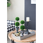 Декоративный искусственное растение Double boxwood варинант исполнения - 8 | Loft Concept в Тюмени