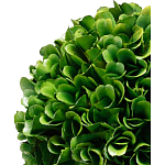 Декоративный искусственное растение Single boxwood варинант исполнения - 2 | Loft Concept в Тюмени